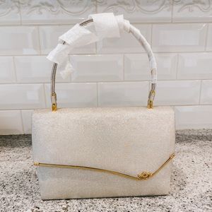 Chic Metallic Box Purse - So Beautiful!